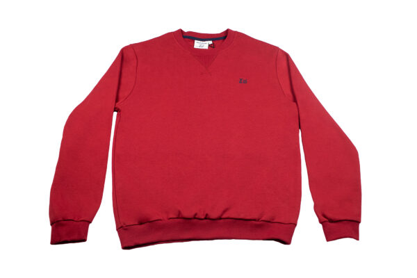 Sudadera básica perkins [+5 colores] - Imagen 6