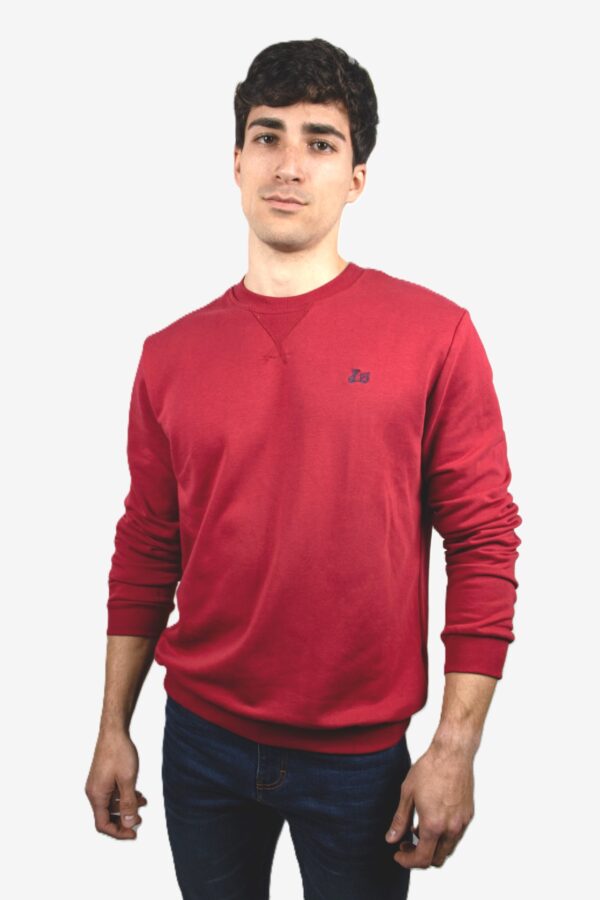 Sudadera básica Ridebike [+8 colores] - Imagen 7